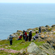 School, Clubs and Group Trips