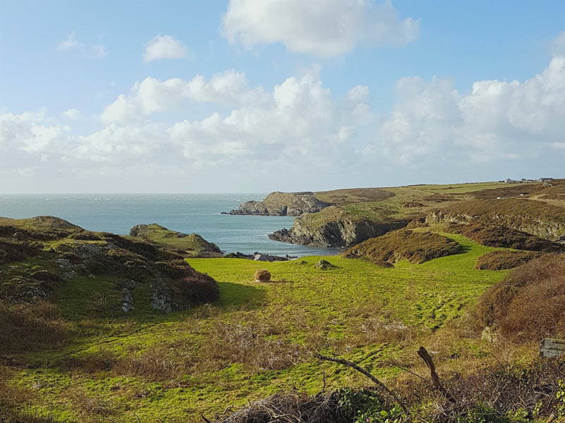 View of Porth Dafarch from the hills above