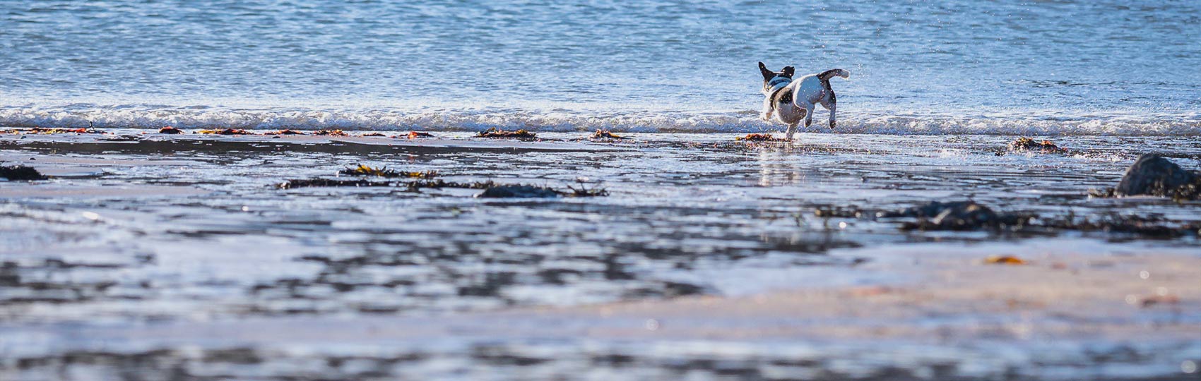 Porth Dafarch Beach at daytime