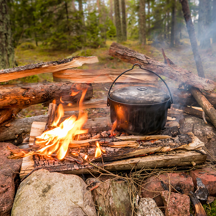 Bushcraft on Anglesey